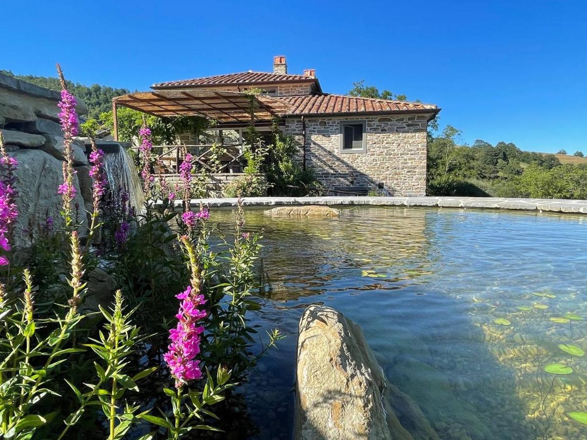 Agriturismo Biologico Autosufficienza Баньо ди Романя Екстериор снимка